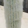 espostoa_cantoensis